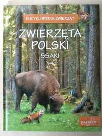 Encyklopedia zwierząt "Zwierzęta Polski: Ssaki"