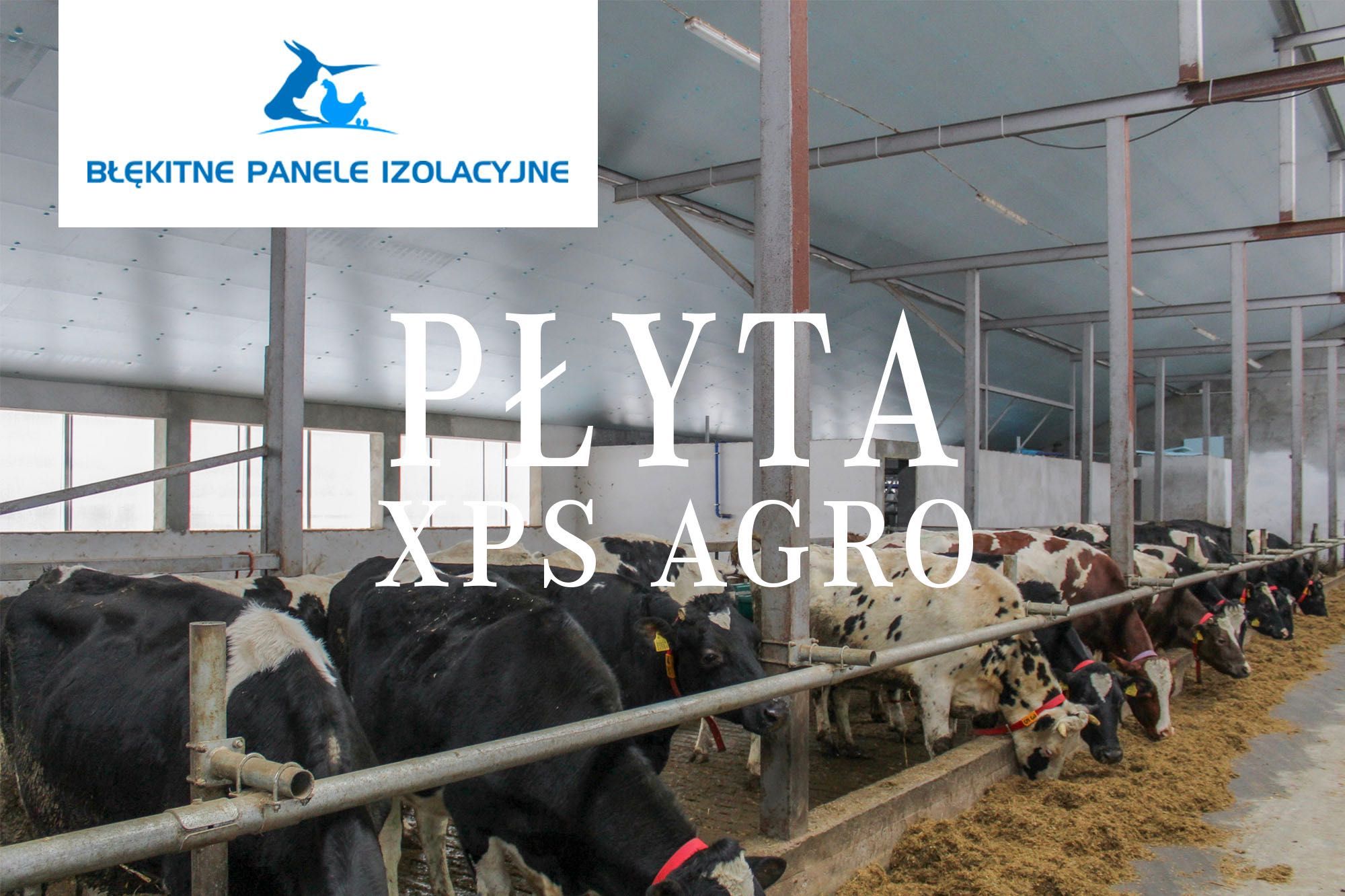 Płyty Styrodurowe XPS AGRO Podsufitka Thermo Ocieplenie Izolacja Dachu