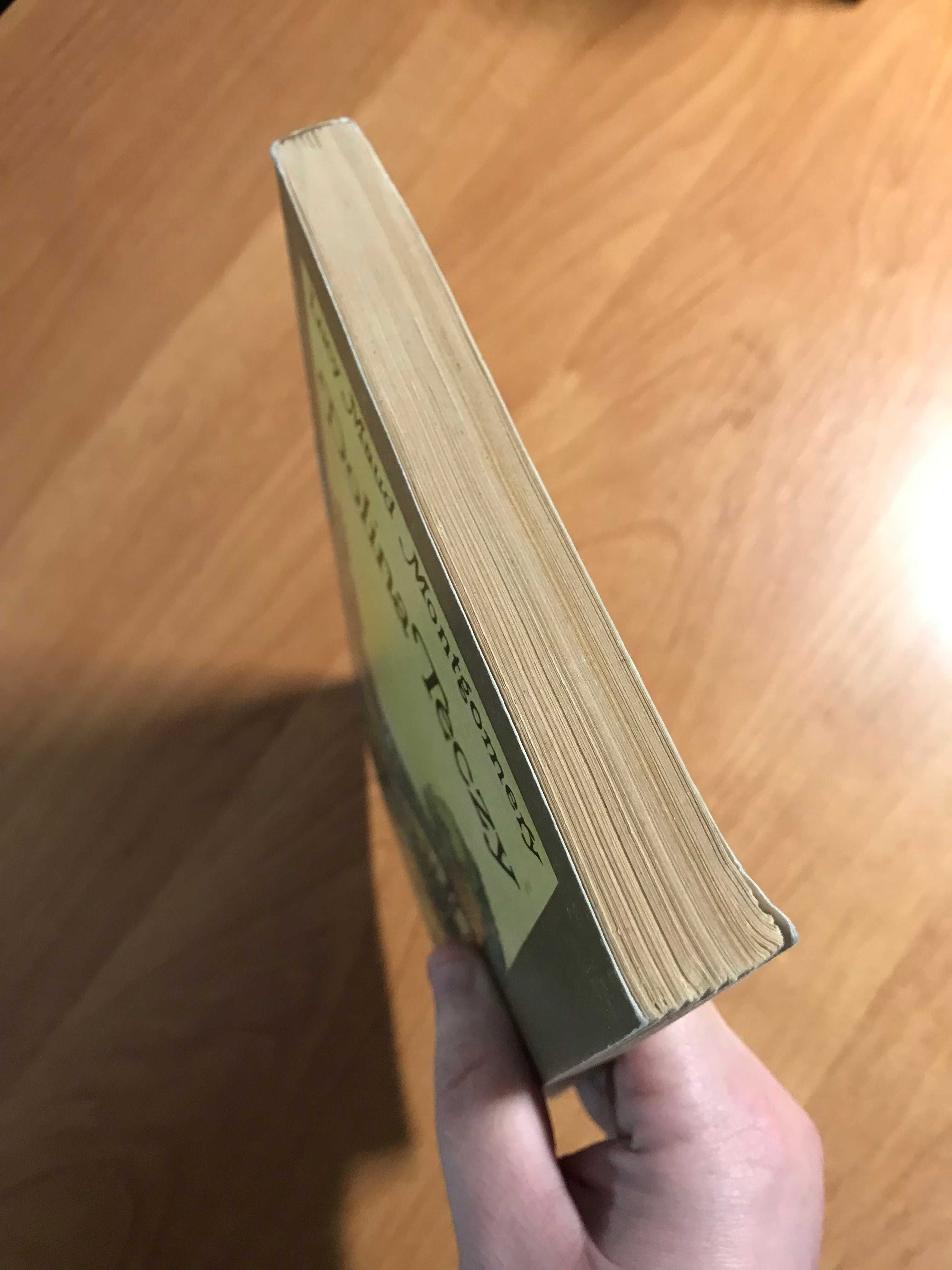/Ania z Zielonego Wzgórza/ Dolina tęczy Lucy Maud Montgomery 1985r.