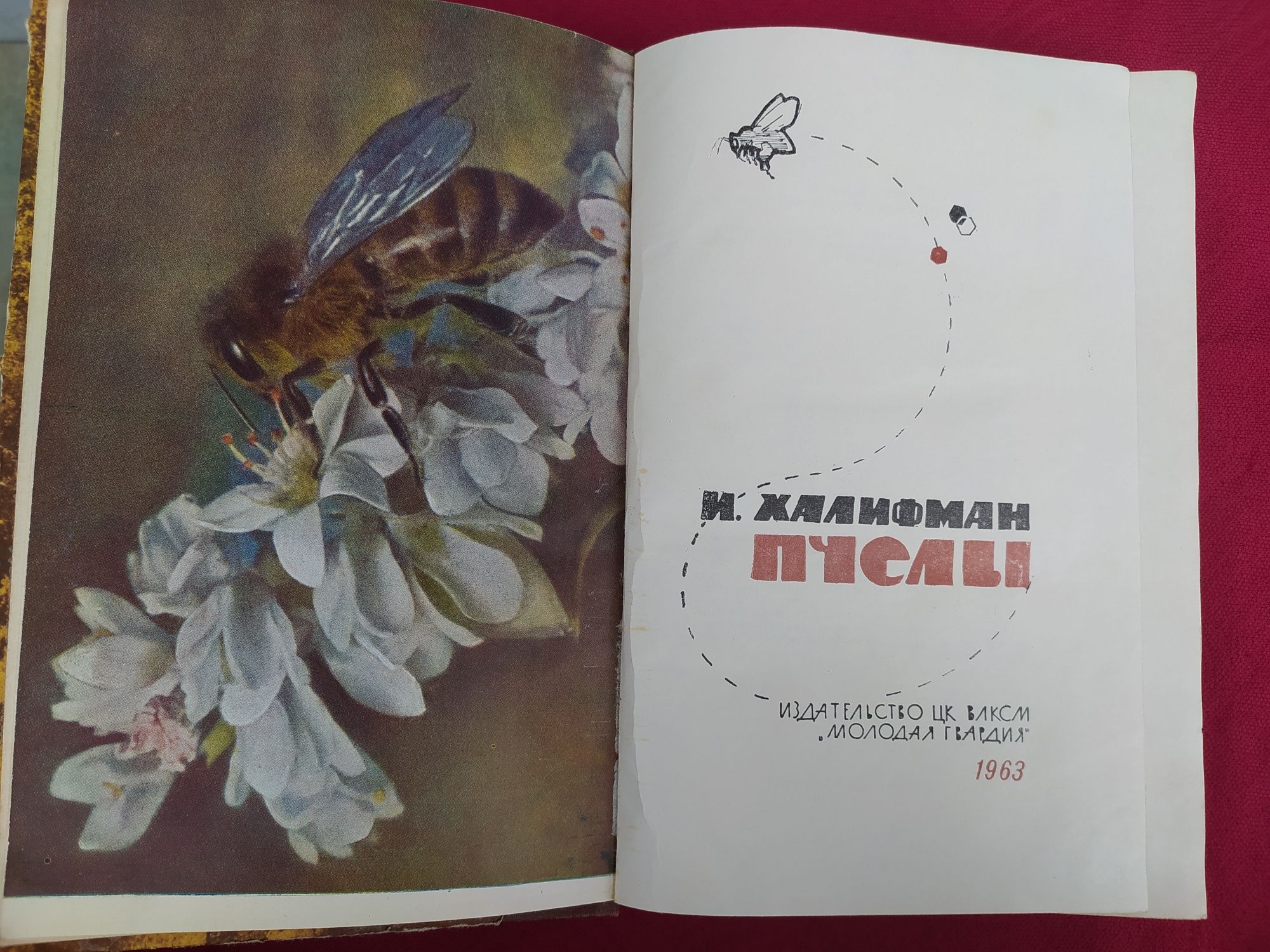 Халифман Пчелы 1963 год