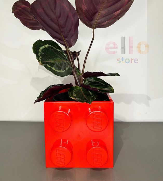 Doniczka LEGO czerwona/niebieska