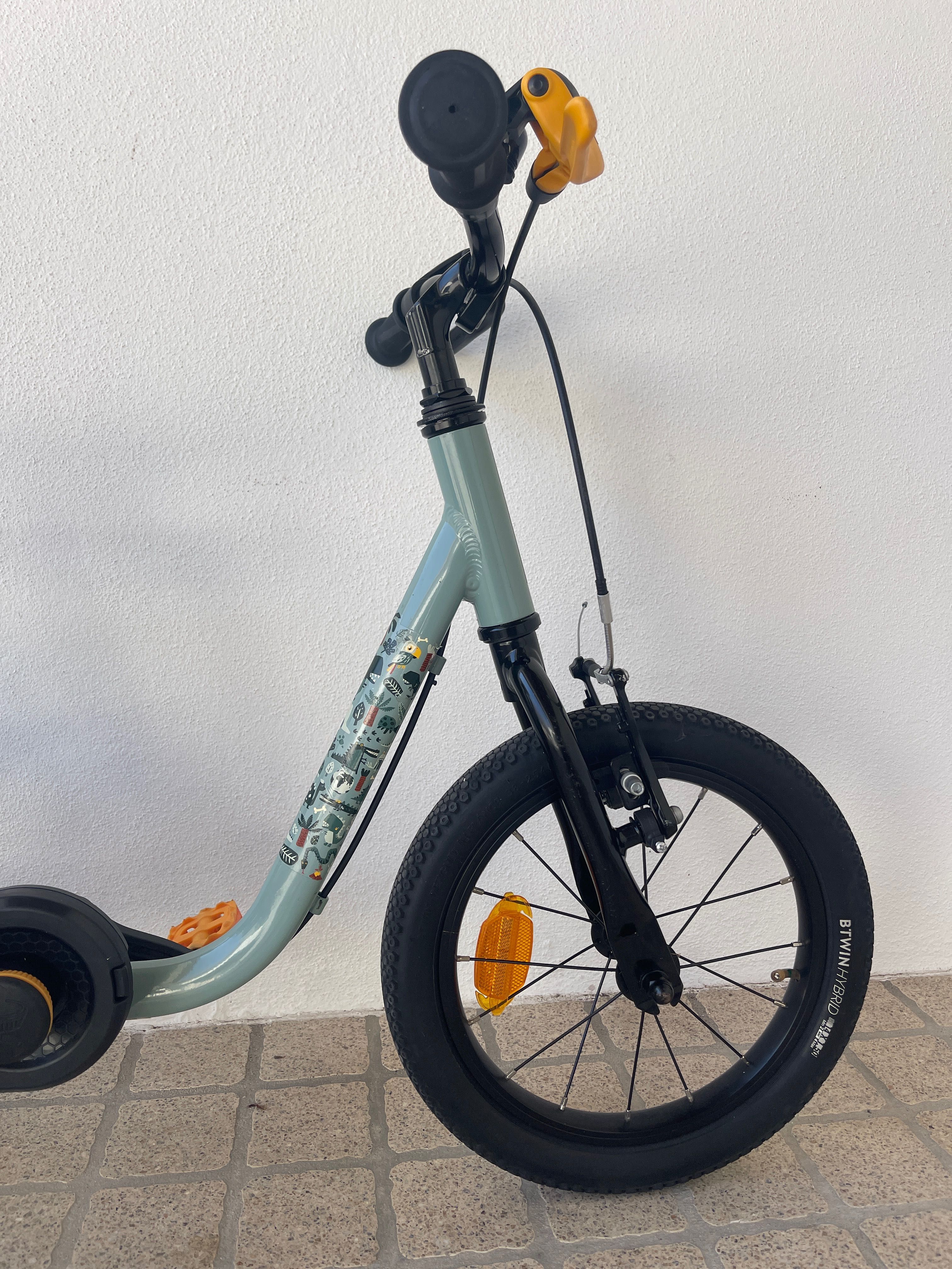 Bicicleta de aprendizagem 2 em 1