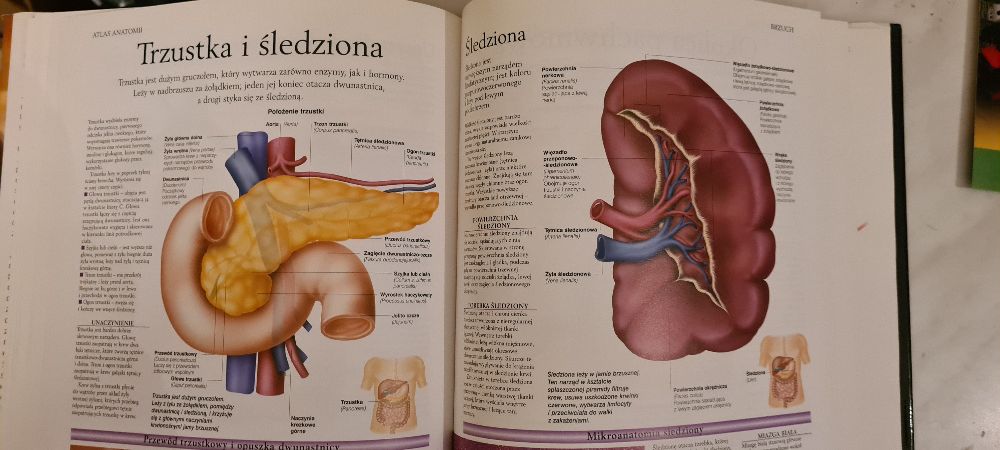Atlas anatomiczny. Peter AbrahamsCiało człowieka: budowa i funkcjonowa