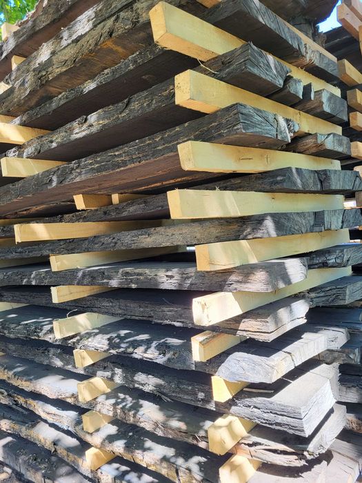 Czarny dąb, tarcica czarny dąb, black oak, deski z czarnego dębu