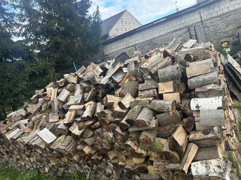 Drewno opałowe buk