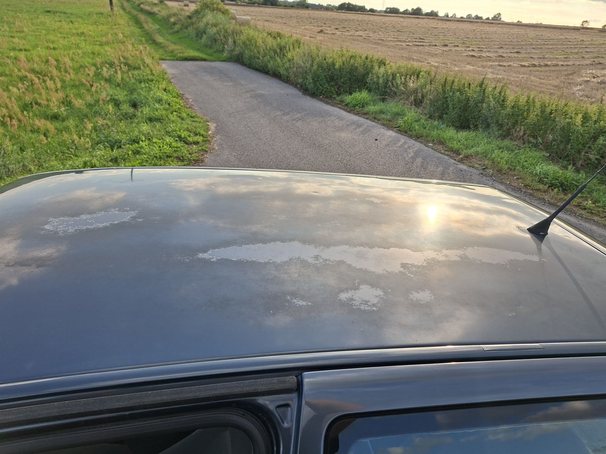 VW Polo 6n2 1.4 16v 2000r