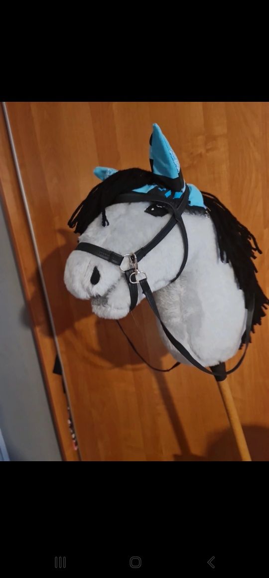 Hobby horse na kiju