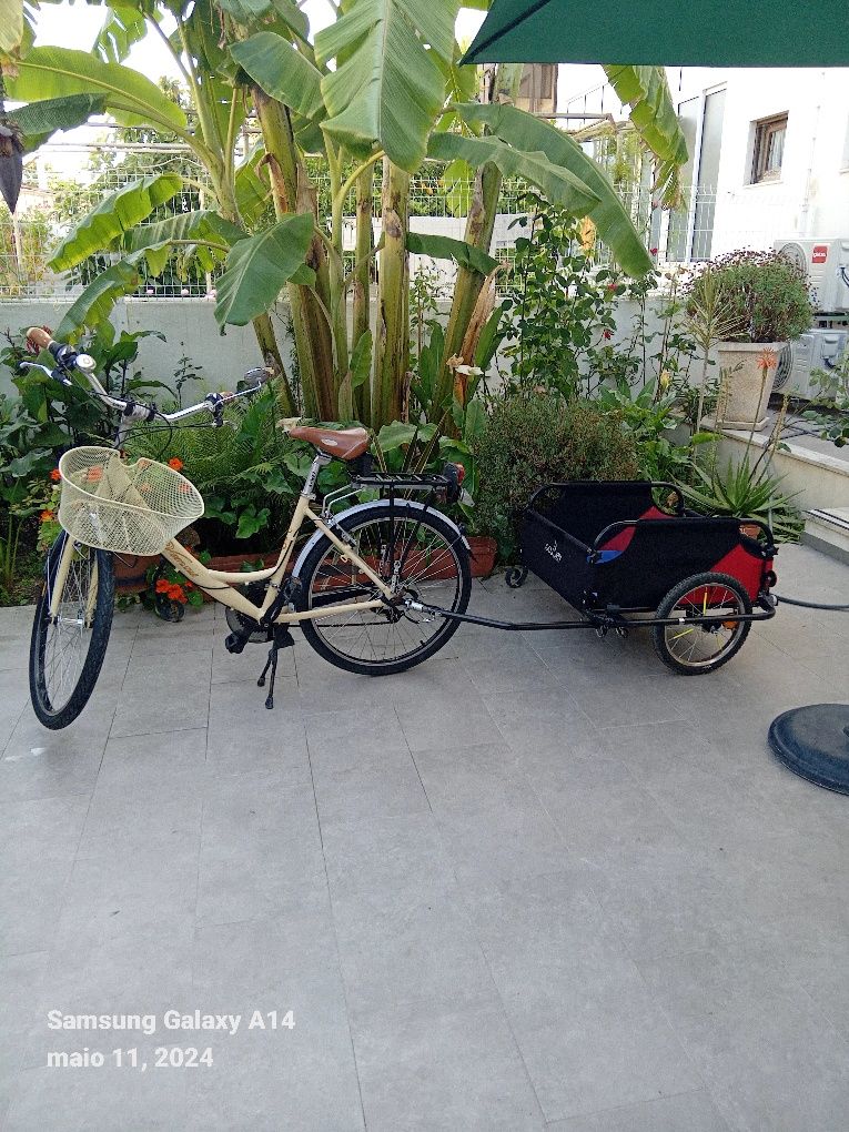 Bicicleta com atrelado como novo