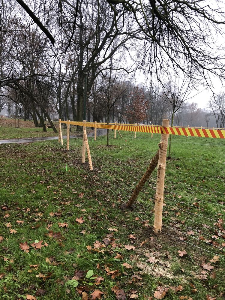 Stemple siatka leśna ogrodzenie budowlane tymczasowe płot brama furtka