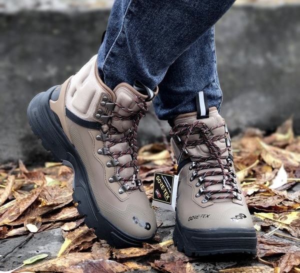 Чоловічі черевики Nike ACG Air Zoom Gaiadome Gore-Tex