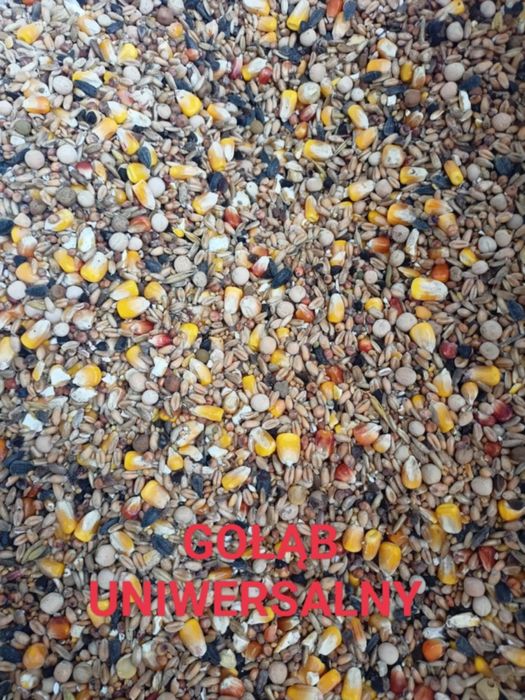 Gołąb uniwersalny mieszanka 20kg
