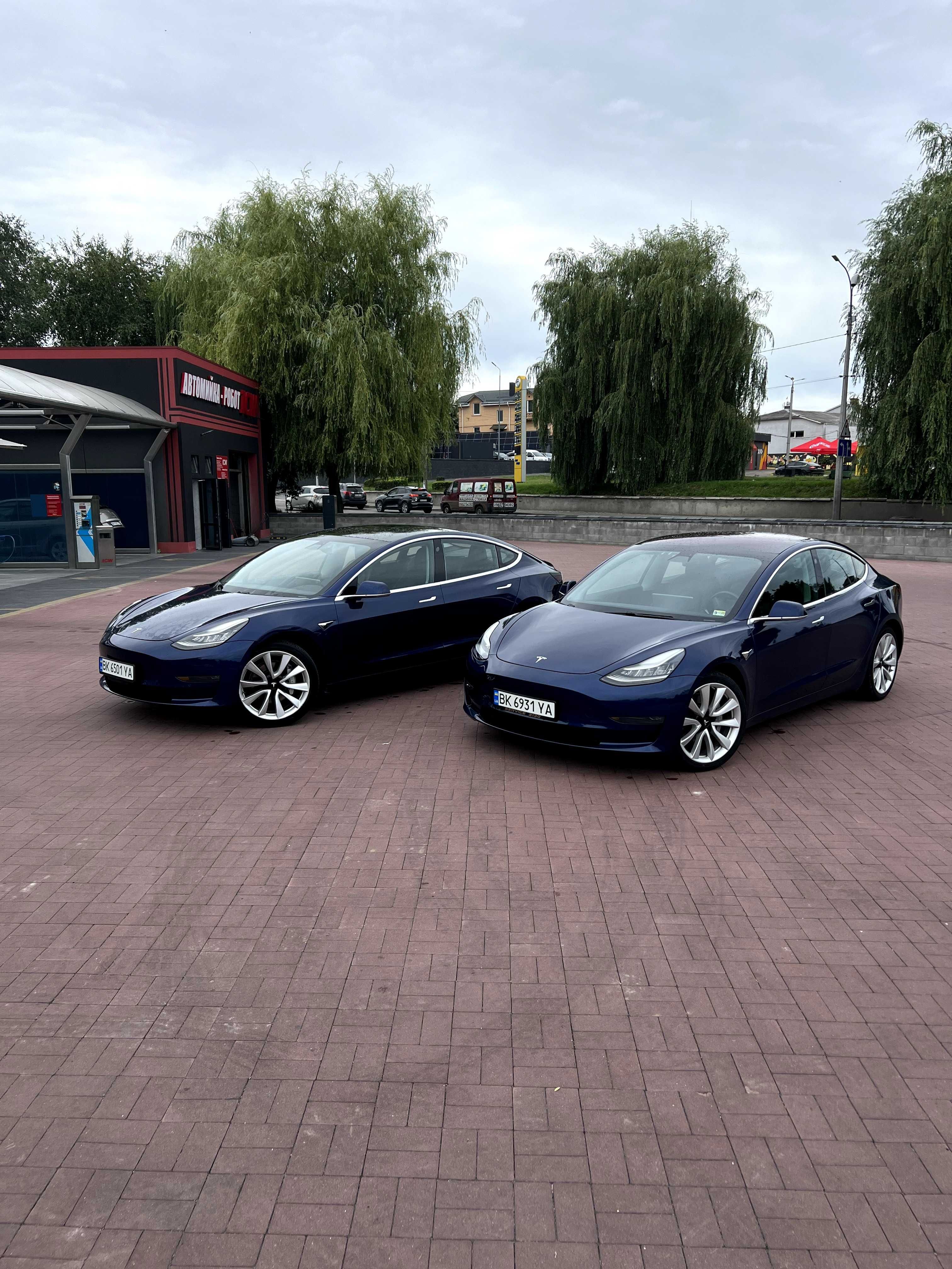 Tesla Model 3 | 500км | Електромобіль | Оренда або робота в таксі
