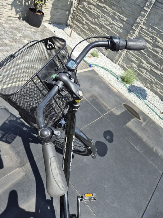 Rower damski Cossscl Economic City