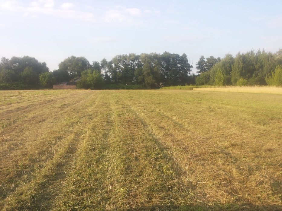 Koszenie trawy koszenie nieuzytkow Usługi rolne czyszczenie dzialek o