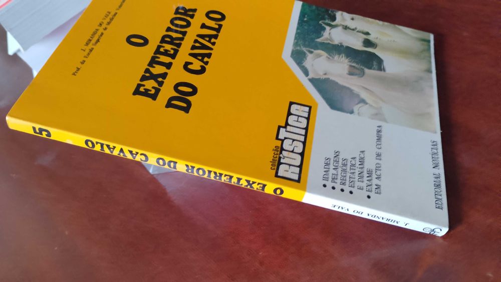O Exterior do Cavalo - J. Miranda do Vale