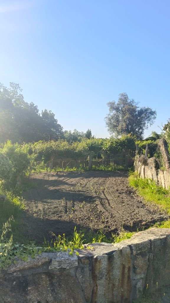 Arrendo terreno agrícola