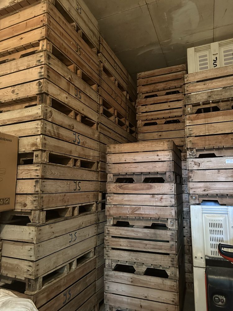 Vendo palotes da fruta grandes e pequenos