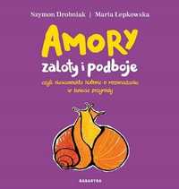 Amory - Zaloty I Podboje