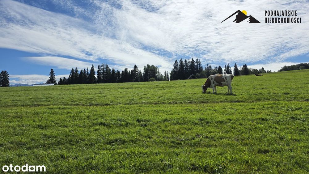 Widokowa działka w Witowie
