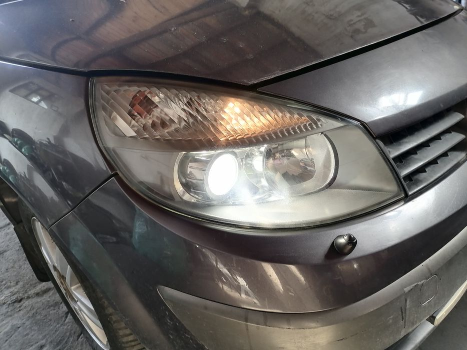 Reflektor xenon Renault Scenic 2