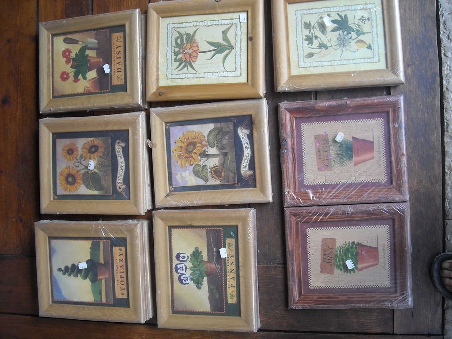 Quadros antigos rusticos vintage gravuras flores e frutos NOVO