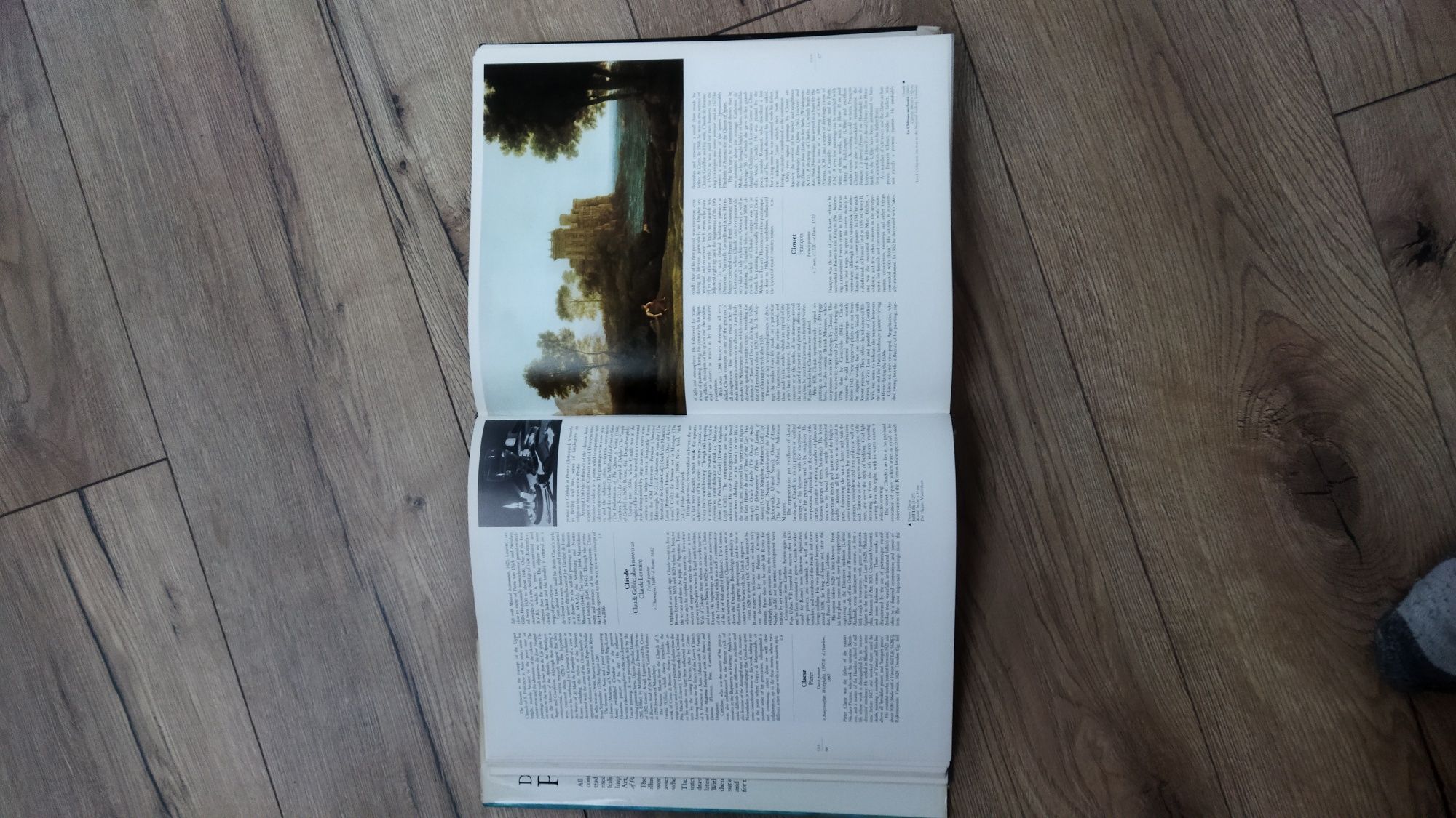 Encyklopedia Malarstwa w jez. Angielskim