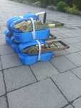 Profesjonalne pasy transportowe