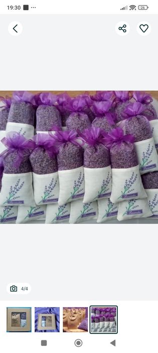 10 + 1 woreczki z suszem lawendy grosso