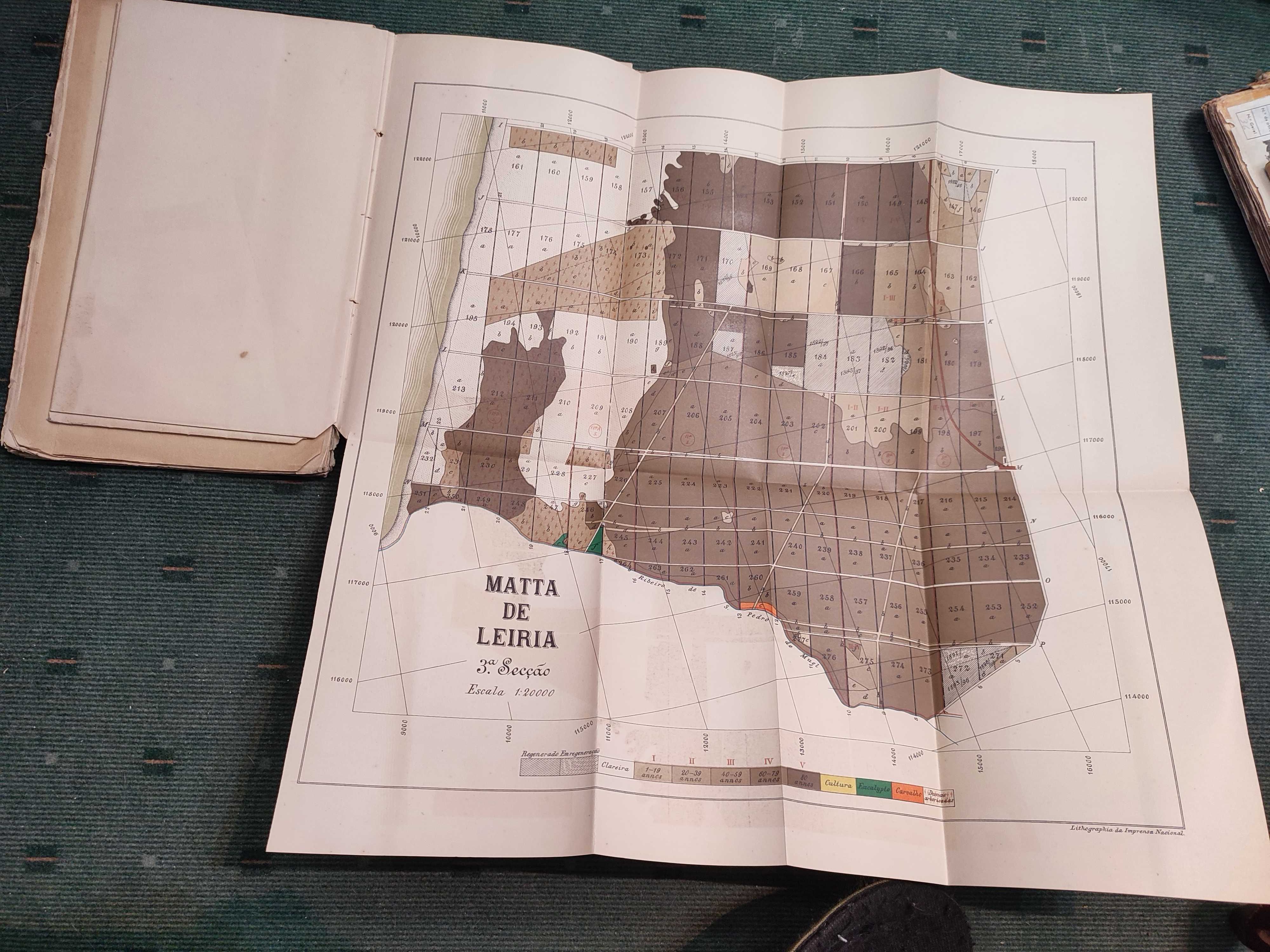 Projecto de Revisão do Ordenamento da Mata Nacional de Leiria - 1899