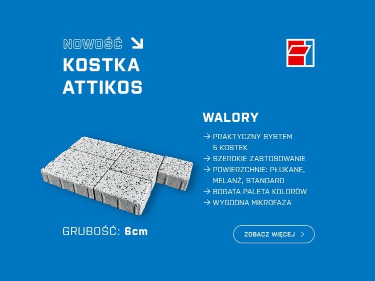 Kostka brukowa Betard