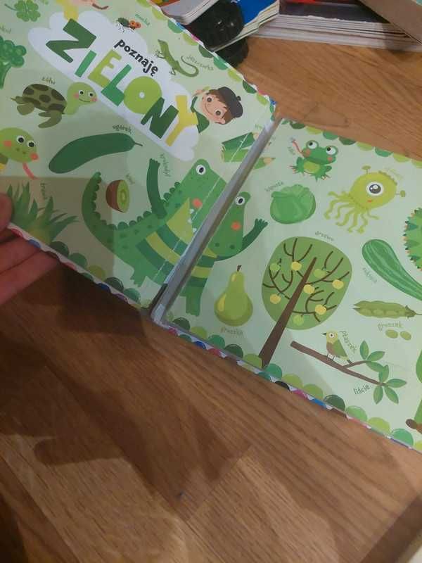 moja pierwsza książka o kolorach Eric carle, poznaję kolory