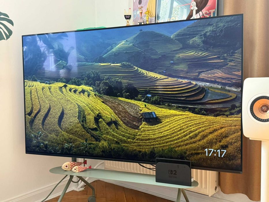 Sony Oled 65A80L