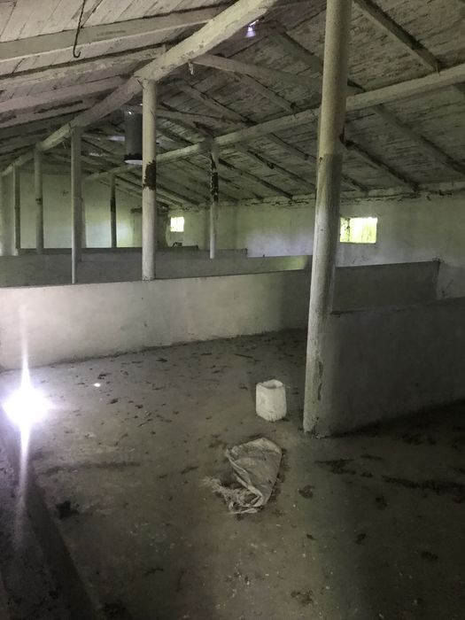 Продам ферму 5,65га землі, 3147м.кв. Будівель