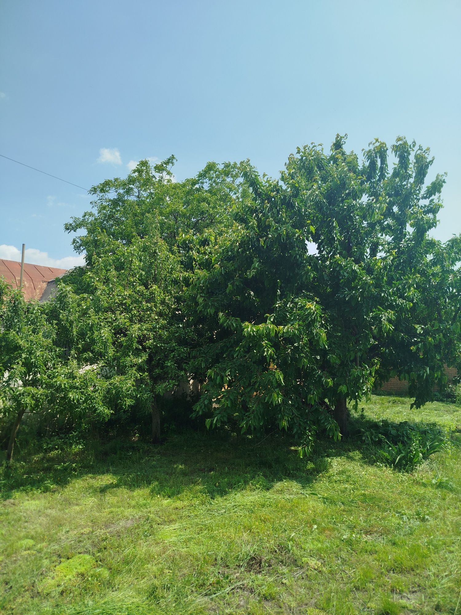 Продам фасадну земельну ділянку