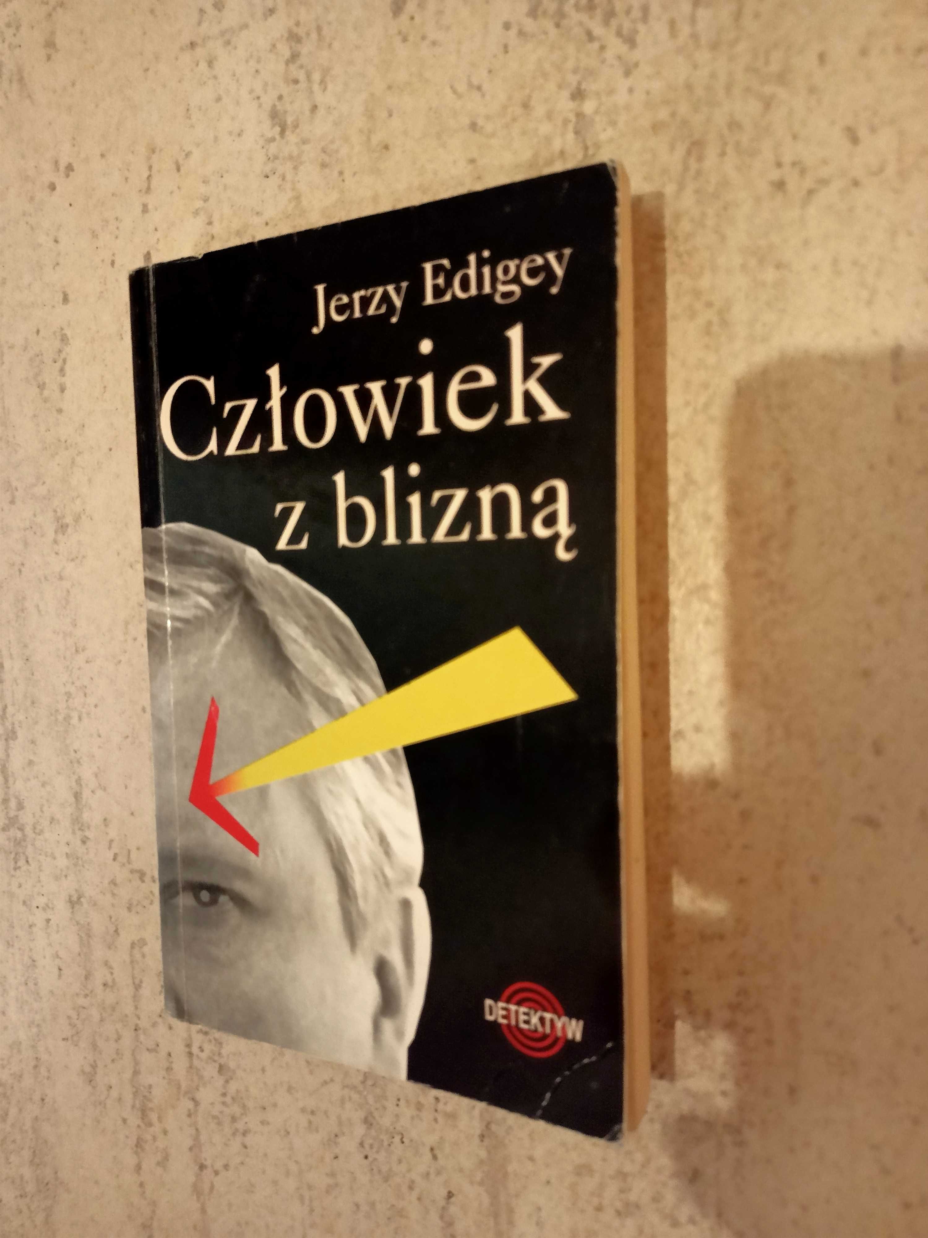 Demon i panna Prym Coelho, literatura obyczajowa, literatura piękna