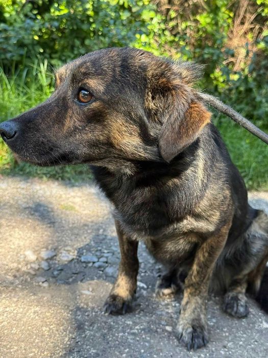 Pokochaj niedużego Filipa