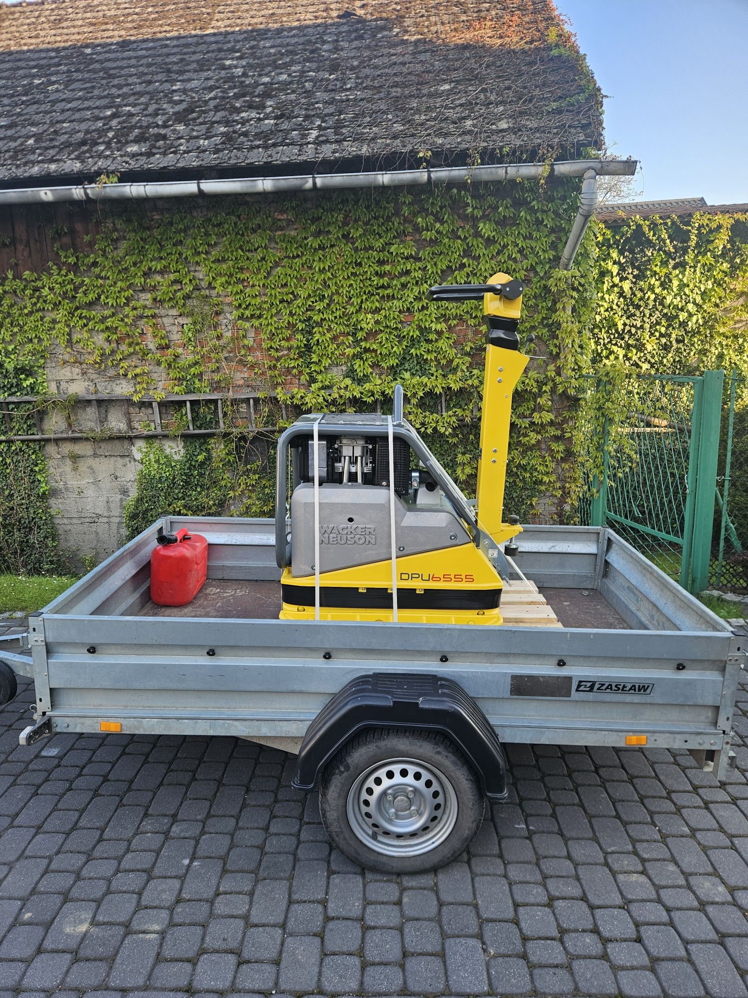 Wynajem zagęszczarka 500kg skoczek ubijak ubijarka wacker neuson dpu65