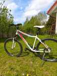 Rower kellys  krosowy, mtb  damski