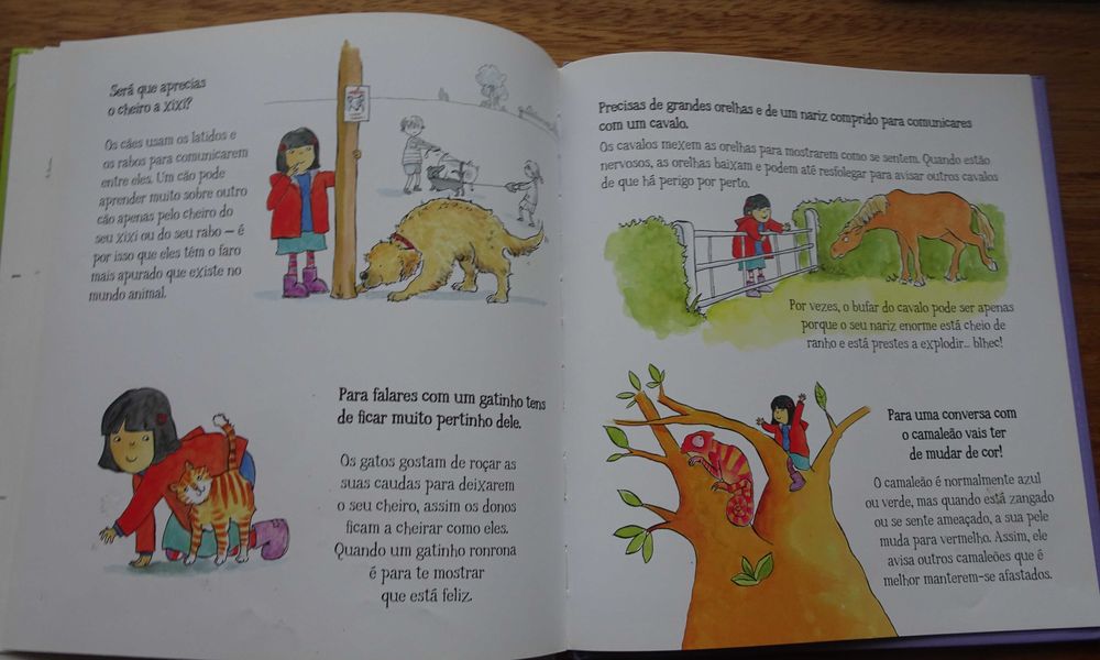 Agora Escolhe Correr Veloz Como Um Cão Ou Saltar Bem Alto Como Um Gato