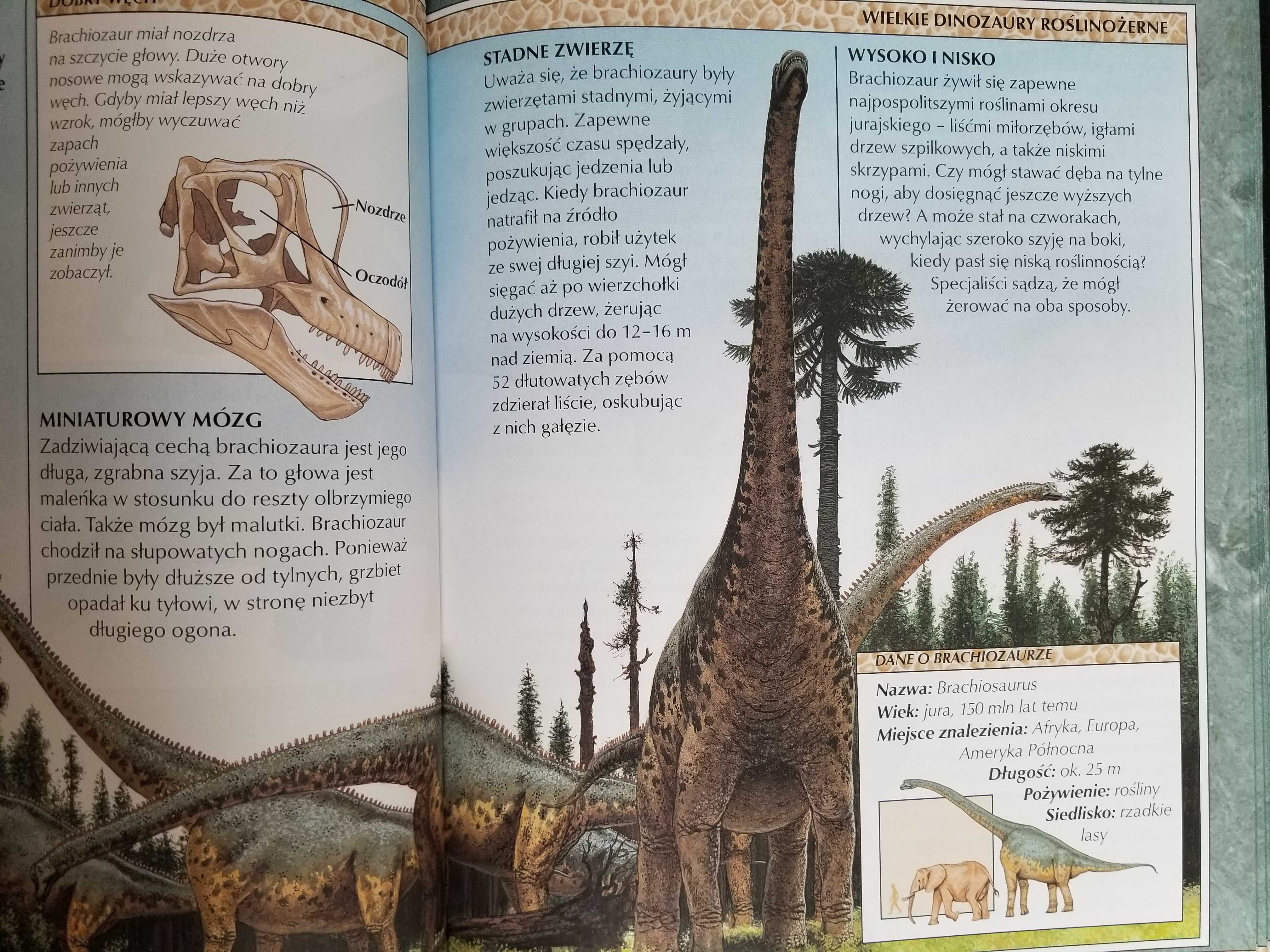 "Encyklopedia Dinozaurów" - John Malam, Steve Parker