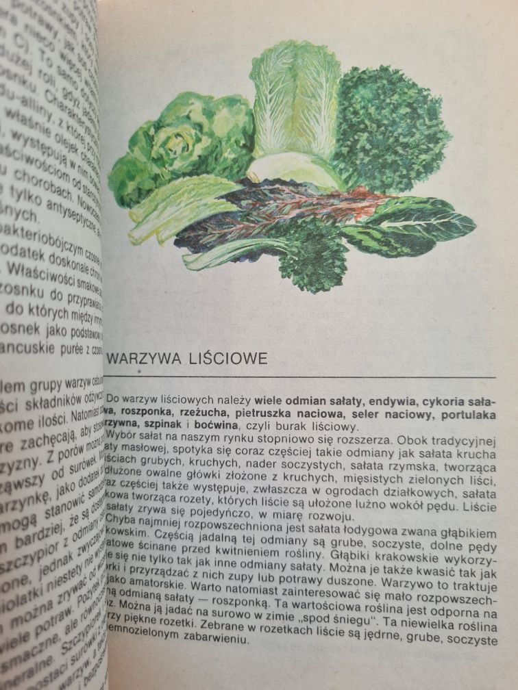 Warzywa w kuchni i spiżarni - Zofia Zawistowska