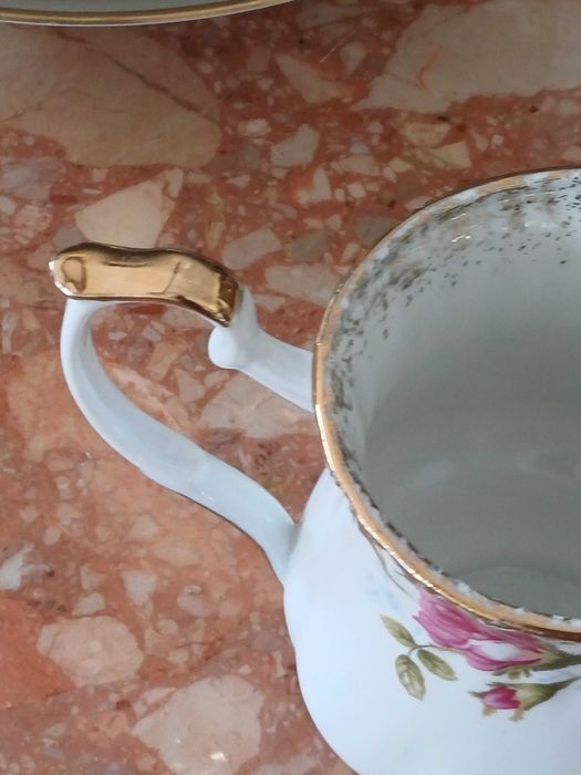 Mlecznik porcelana Chodzież Iwona (P.686)