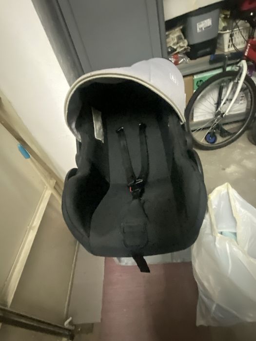 Ovo de bebe da zoppy