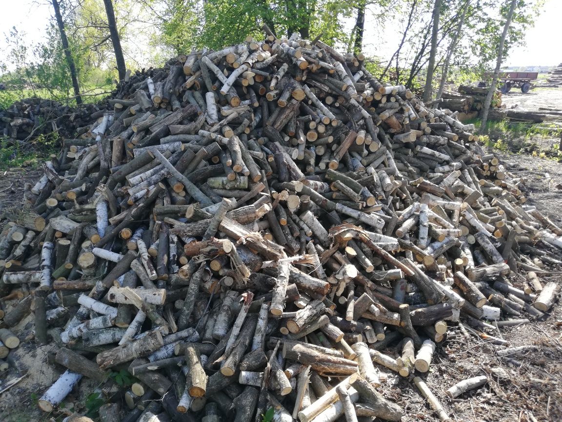 Drewno opałowe/kominkowe