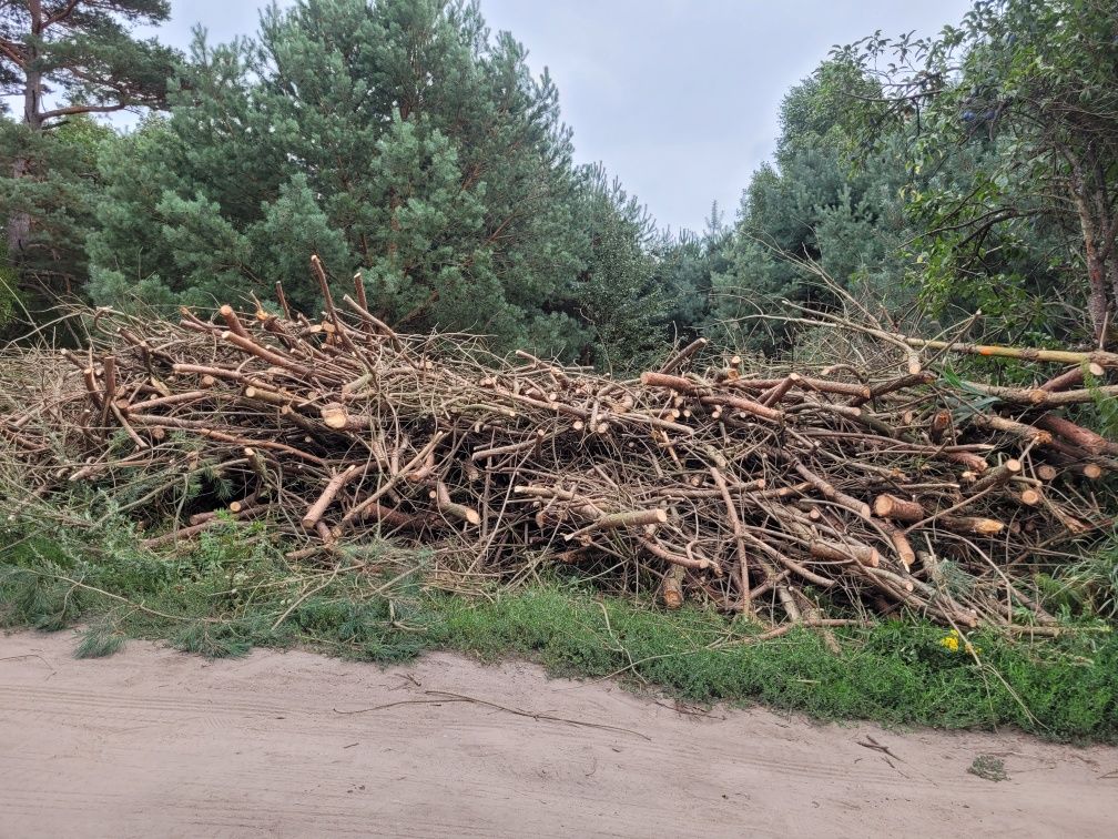 Gałęziówka, chrust, oddam za darmo