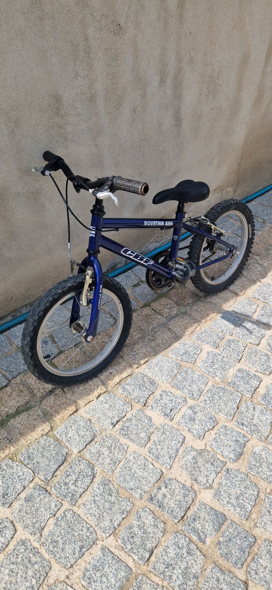 Bicicleta aro 16