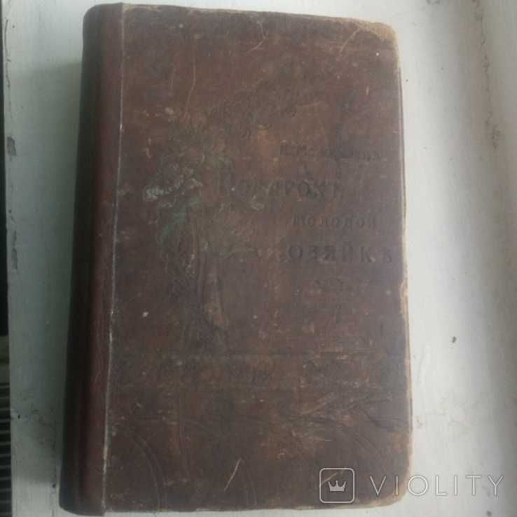 Дві книги Подарок молодым хозяйкам Е. И. Молоховец.
