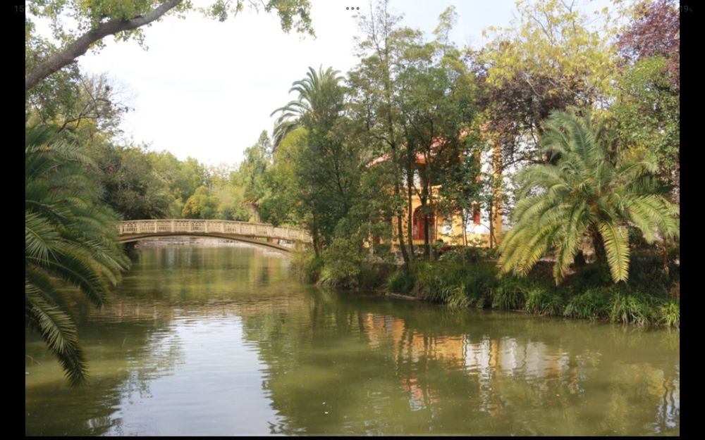 Quarto estudante Aveiro centro