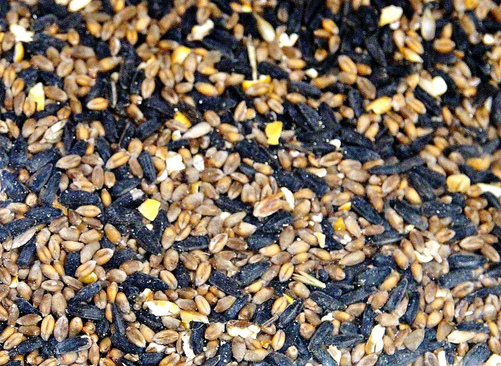 Mieszanka ziaren Pokarm dla ptaków zimujących karmnik 20kg
