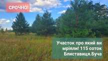 Участок Блиставиця. 115 соток